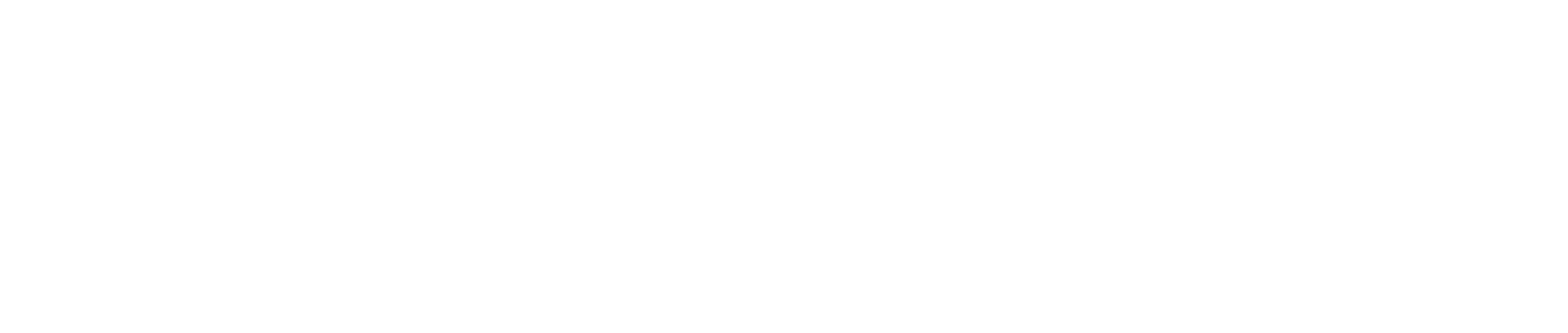 Importadora Patagonia